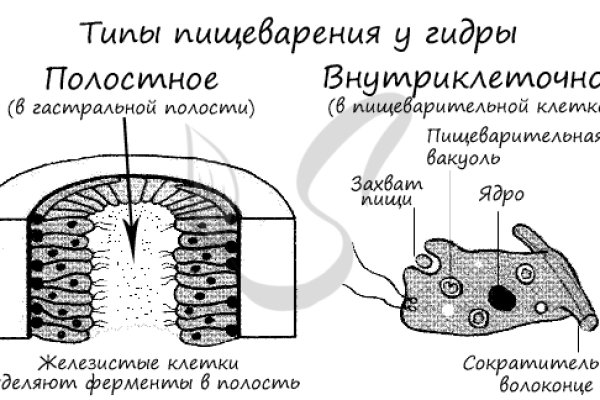 Где найти рабочую ссылку на кракен